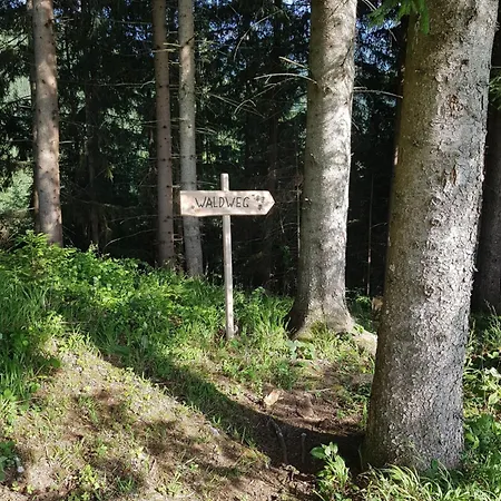 Loegergut * Vorderstoder